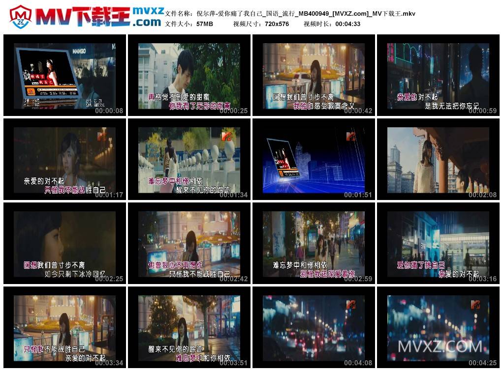 倪尔萍-爱你痛了我自己_国语_流行_MB400949